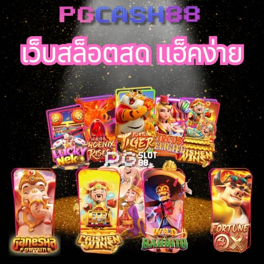ทดลองเล่น pp